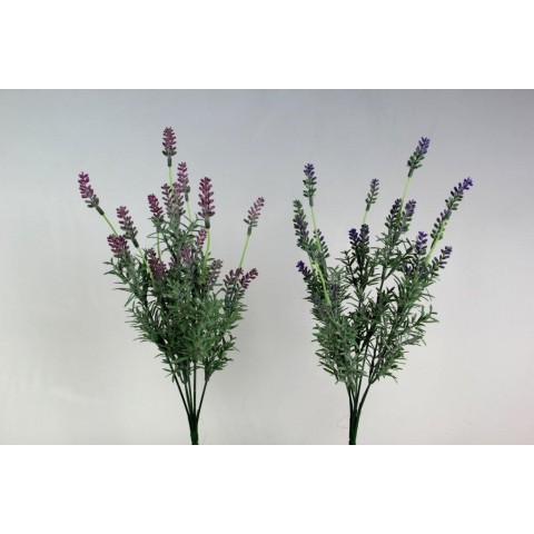 BUSH LAVANDA 40CM ASSORTITO